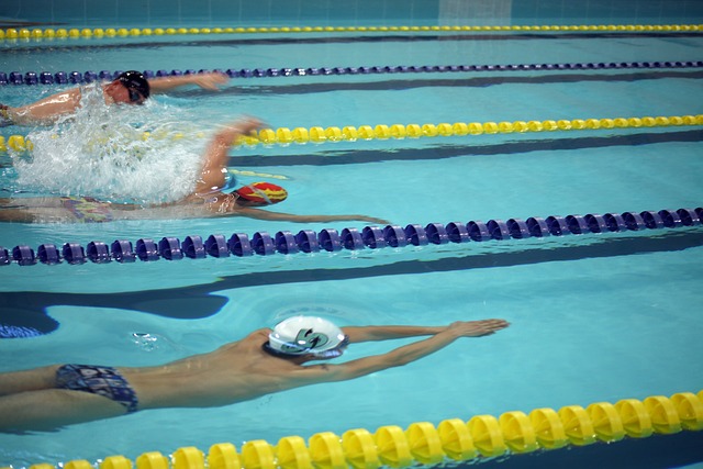 西的行为实 西的行为实