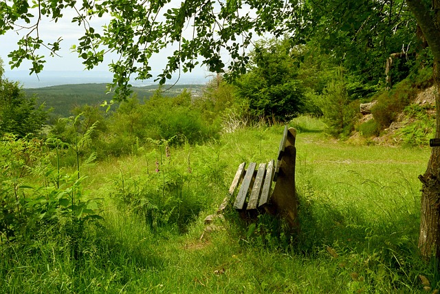 遗产归属的 遗产归属的
