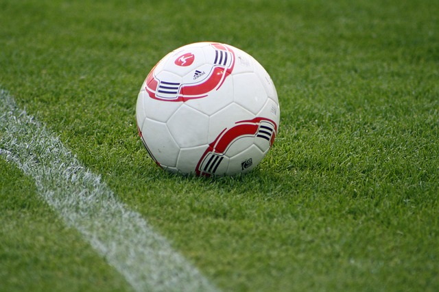 的非洲文物 的非洲文物