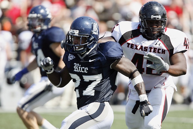 帕洛切维奇 帕洛切维奇