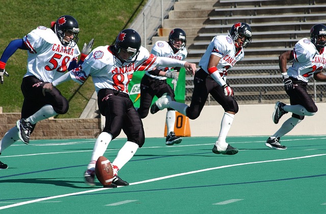 是一档专注 是一档专注