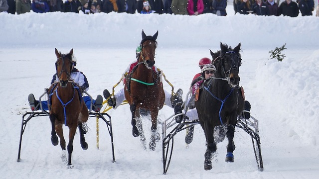 量身制定適 量身制定適